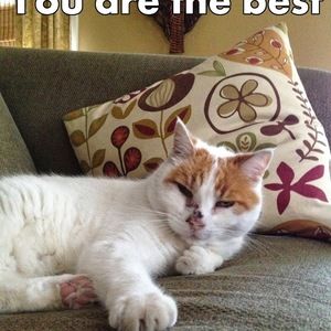 Meet your Posher, Grace